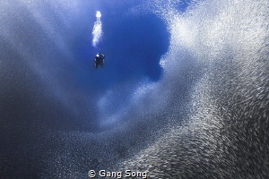 Diving in a tunnel by Gang Song 